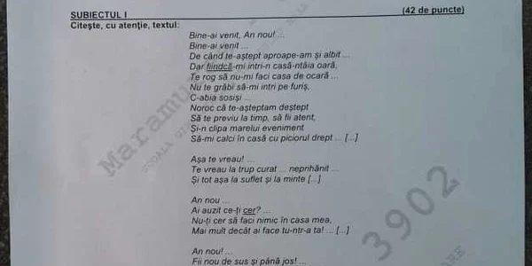subiecte romana capacitate 1