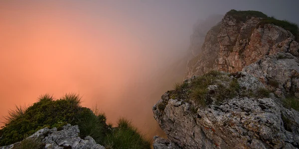Munții Bucegi. FOTO România Sălbatică