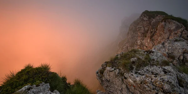 Munții Bucegi. FOTO România Sălbatică