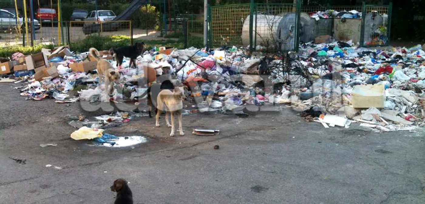 Platforma de gunoi din cartierul Micro 14 este amplasată în imediata vecinătate a unui loc de joacă