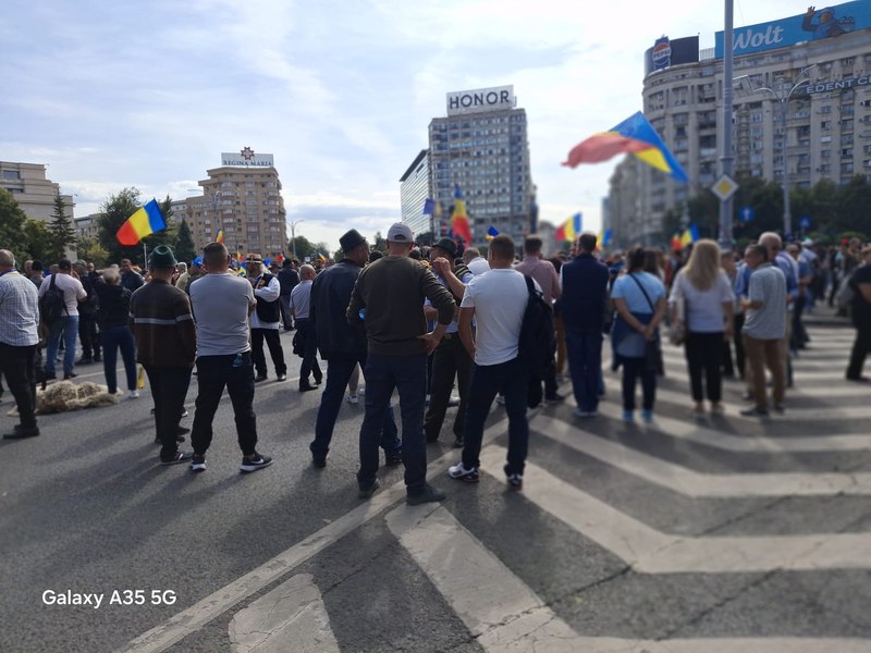 „Să vă fie rușine!” Vicepremierul Oana Gheorghiu, mesaj pentru politicienii extremiști care s-au infiltrat în protestul oierilor