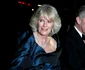 Charles și Camilla în 2008. FOTO: Getty Images