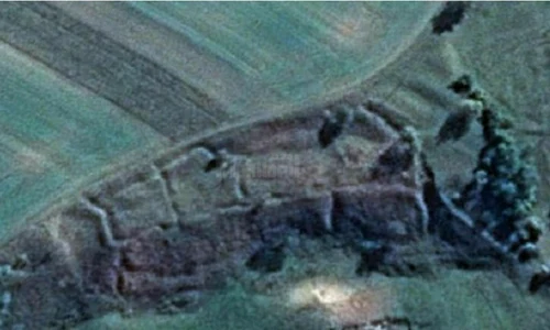 cetate misterioasa jpeg