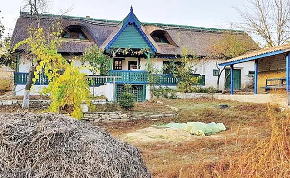 
    Casa a ars din temelii  