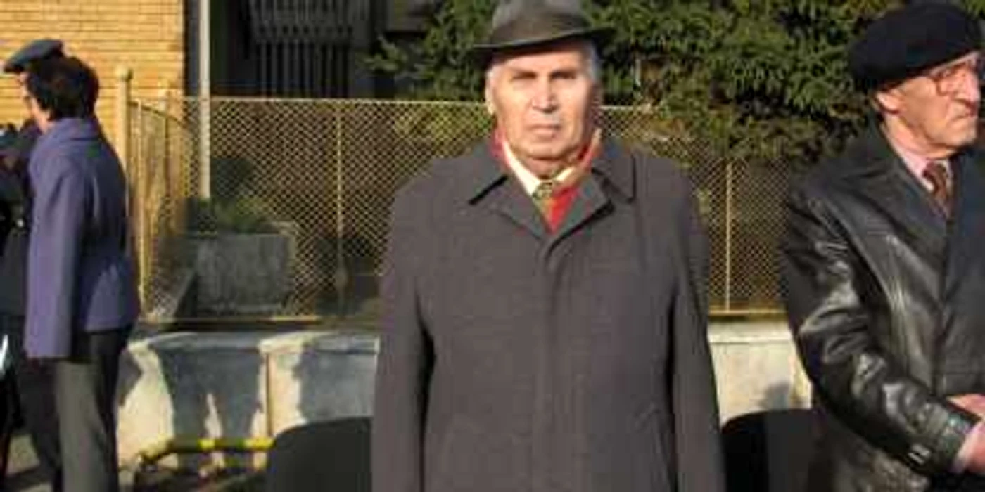 Ion Nedelcu