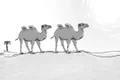 test jpg