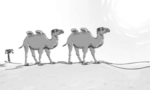 test jpg