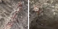 planseul unirii urme de caramizi foto captura video png