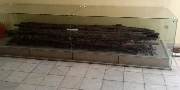 minuni botosani