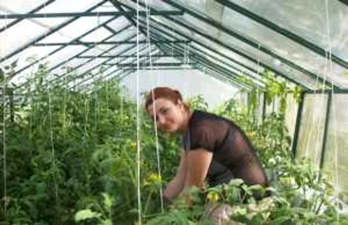 Elevii Liceului Pedagogic Ştefan Velovan consumă mâncare sănătoasă la cantina instituţiei