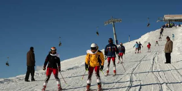 partia noua sinaia