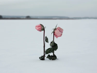 46 47 shutterstock 1901848762 jpg