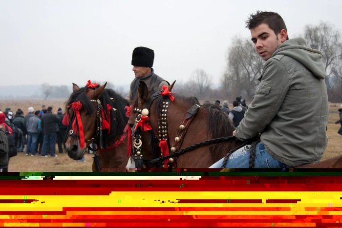 Caii, frumos împodobiţi, sunt botezaţi după slujba de Bobotează. FOTO: Virgil Popescu