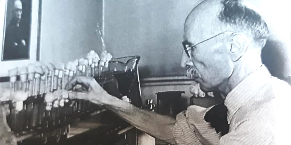 mihai ciuca