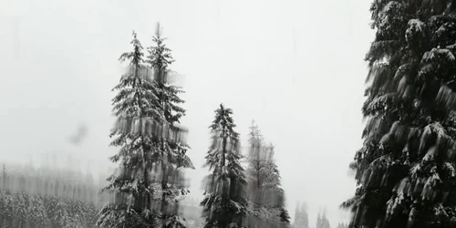 ninge in zona de nord a României 