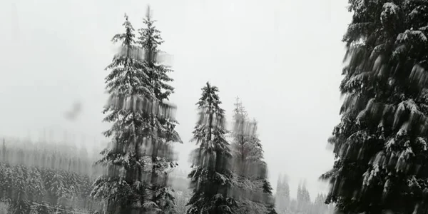 ninge in zona de nord a României 