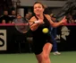 Simona Halep in Meciul din FedCup cu Muguruza FOTO Mediafax 