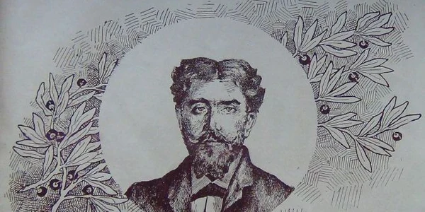 ion mincu