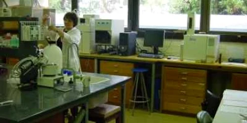 Neamţ: Şase pietreni suspecţi de gripă nouă