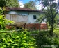 Valea Geoagiului Foto Daniel Guță ADEVĂRUL (26) JPG