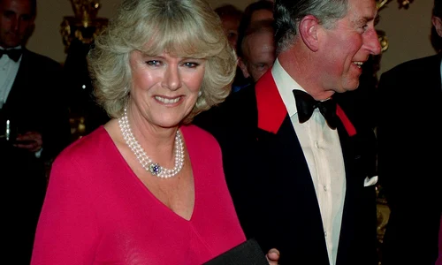 5 camilla charles profimedia 0022417584 jpg jpeg