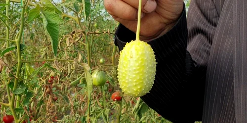 vlcsnap 2023 10 02 12h14m29s111 png