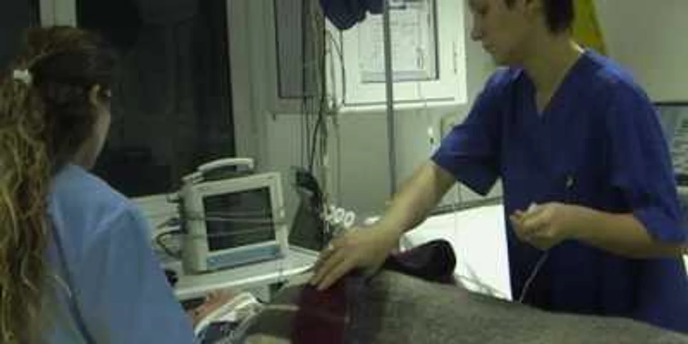 Iaşi: UPDATE: Trei persoane au murit şi un copil este în comă după accidentul de la Leţcani VIDEO
