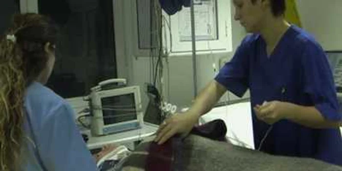 Iaşi: UPDATE: Trei persoane au murit şi un copil este în comă după accidentul de la Leţcani VIDEO