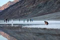 lac jpeg