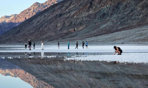 lac jpeg