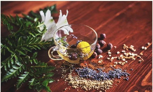 1 remedii pulmonare jpg jpeg