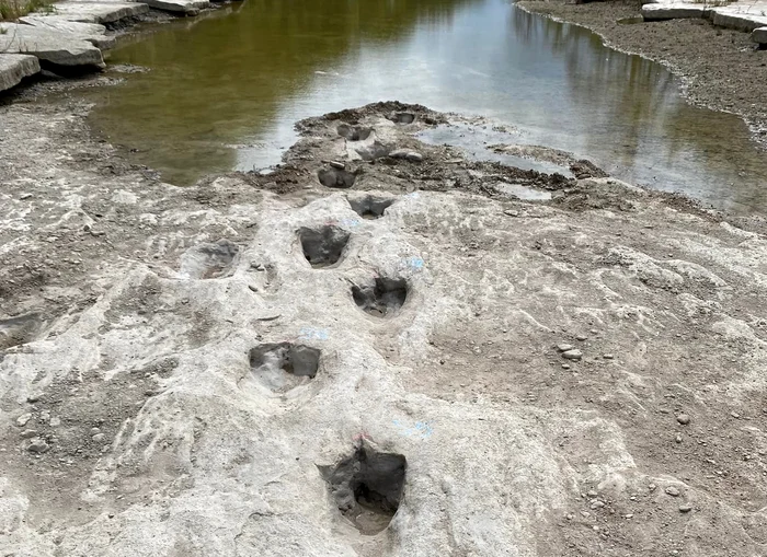 Urme de dinozaur într-un parc din Texas / Foto Facebook