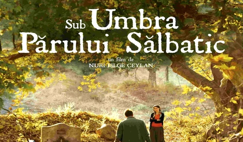 1 85305 original jpg jpeg