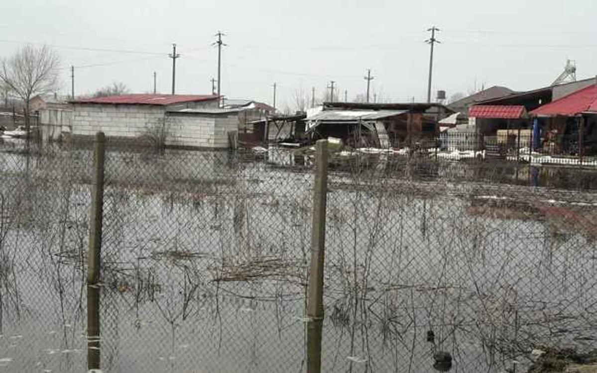Curţi inundate  FOTO ISU Teleorman