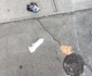 4 40194121 300284714036945 2242570932804077746 n 1 jpg jpeg