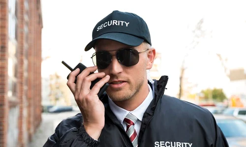 curs agent de securitate jpeg