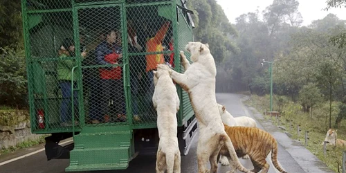 zoo china