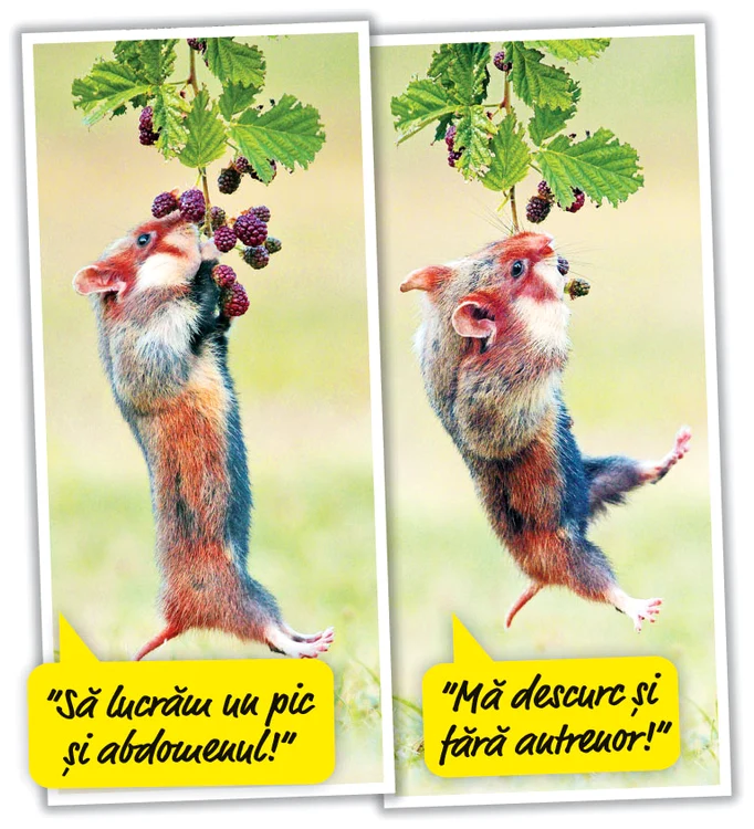 Fotografii: Photoland/Caters