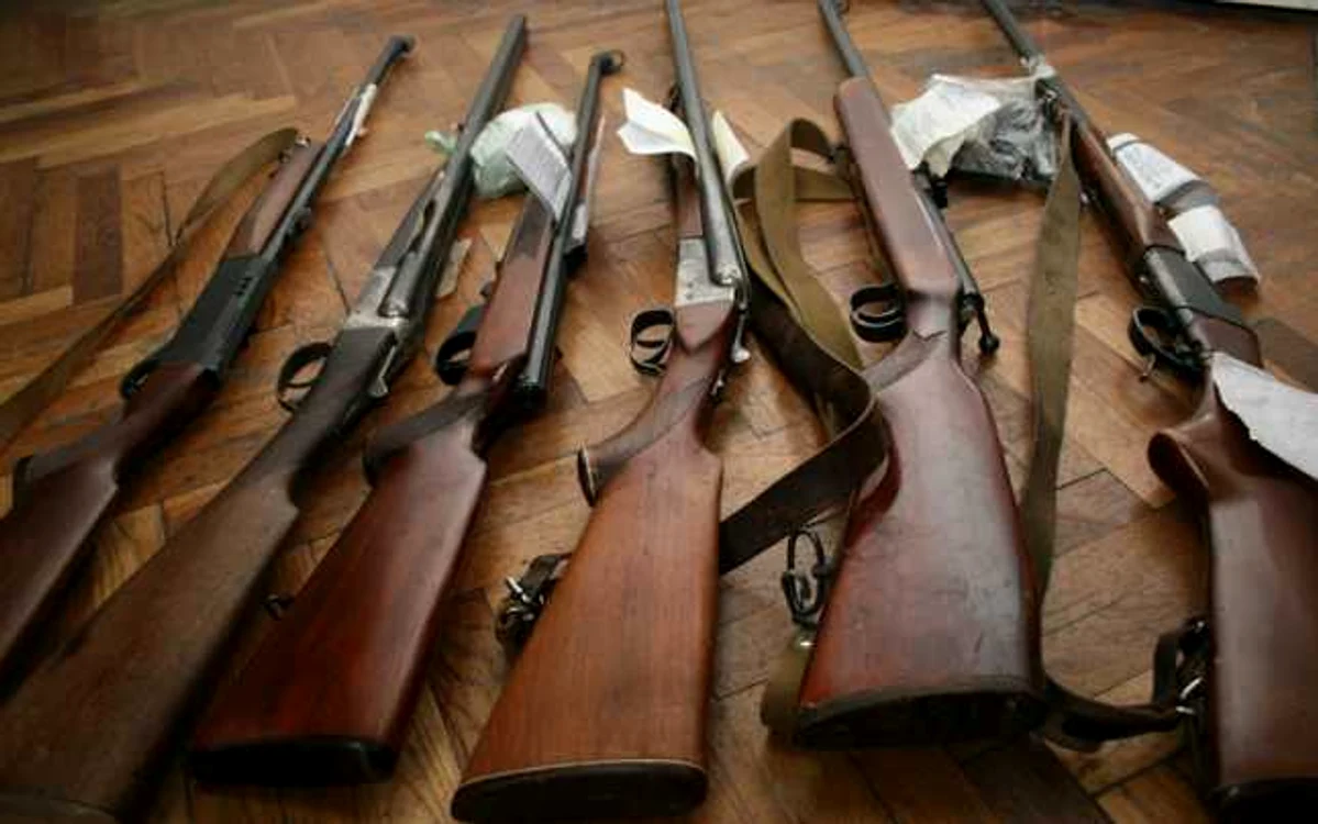 Peste 700 de permise de port-arma au fost retrase si anulate. FOTO MAI