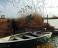 Insula Ceaplace de pe lacul Sinoe din Delta Dunării consolidată pentru pelicanul creţ Sursa ARBDD