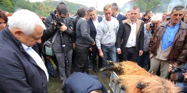 costesti sarbatoarea oierilor