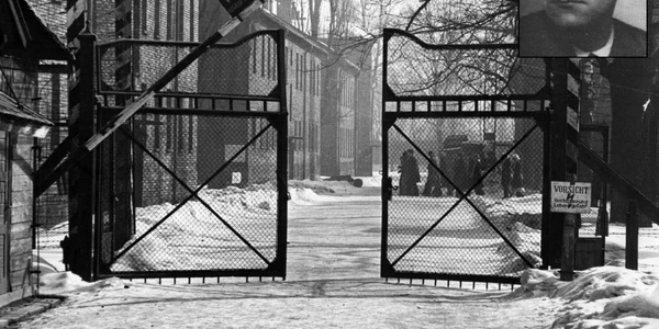 hans mokka si auschwitz foto wikipedia si getty images - colaj