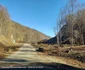 Defrișările în zona montană a Autostrăzii Sibiu Pitești Foto Irinel Scrioșteanu Facebook