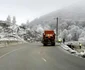 pelerinaj manastirea prislop foto daniel guta adevarul