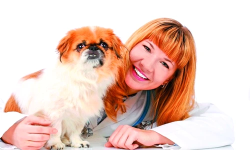 1 49891 original jpg jpeg