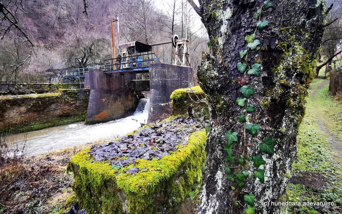 Stavilarul de la Govajdia ianuarie 2023 Foto Daniel Guță  ADEVĂRUL (11) jpg