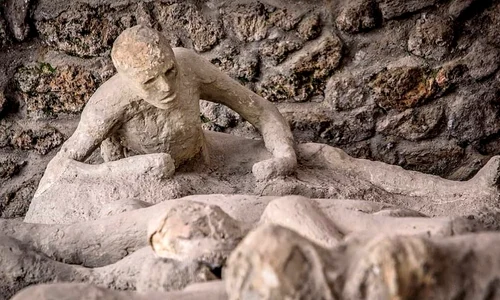 Neuroni perfect conservați, descoperiți în creierul unei victime a erupției vulcanului Vezuviu jpeg