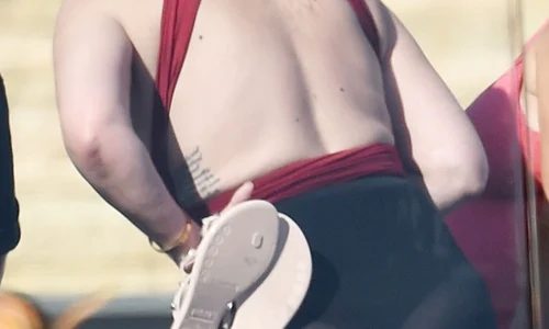 1 profimedia 0609991306 jpg jpeg