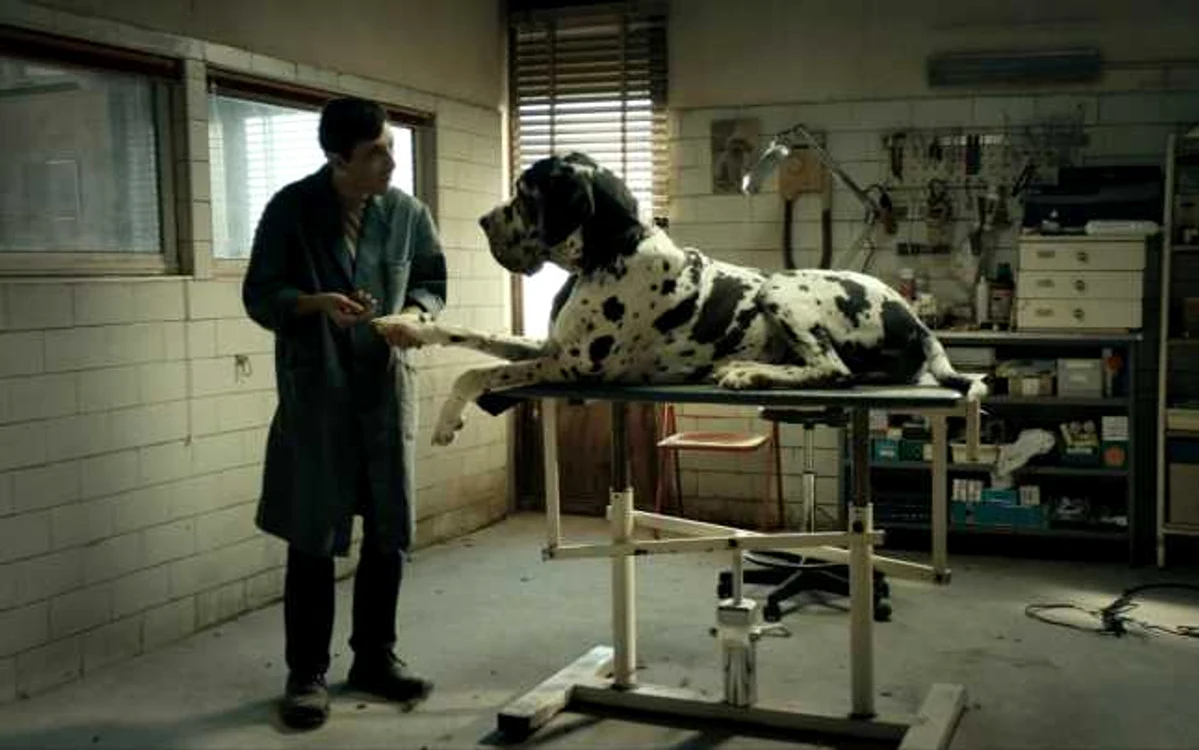 „Dogman“ al italianului Matteo
Garrone (premiu de interpretare pentru Marcello Fonte) a fost unul dintre cele mai bune filme din festival,
dar n-a fost deloc singurul