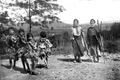 Paparude din comuna Breasta Dolj 1908 jpg